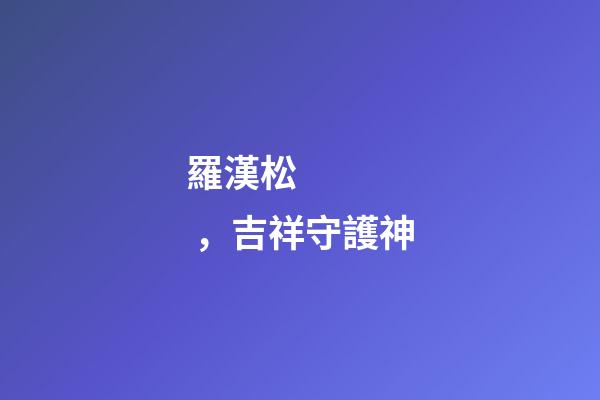 羅漢松，吉祥守護神